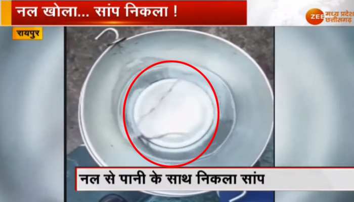 VIDEO: पीने के लिए महिलाएं भर रही थीं पानी, अचानक बाल्टी में आ गया सांप और फिर... VIDEO: पीने के लिए महिलाएं भर रही थीं पानी, अचानक बाल्टी में आ गया सांप और फिर...