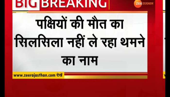 CM Gehlot very serious in the death of birds in Sambhar lake