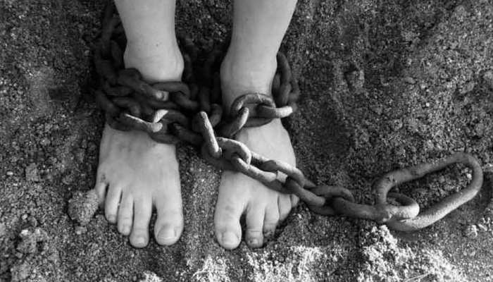 बिलासपुरः जमानत पर छूटे थे सुपारी किलर, 2 लाख के लिए कर दी बड़ी गलती बिलासपुरः जमानत पर छूटे थे सुपारी किलर, 2 लाख के लिए कर दी बड़ी गलती