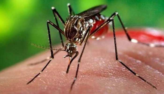 पीलीभीत: डेंगू को खौफ दिखाकर लोगों की कमाई लूट रहे हैं प्राइवेट डॉक्टर और पैथौलॉजी संचालक, नोटिस जारी पीलीभीत: डेंगू को खौफ दिखाकर लोगों की कमाई लूट रहे हैं प्राइवेट डॉक्टर और पैथौलॉजी संचालक, नोटिस जारी