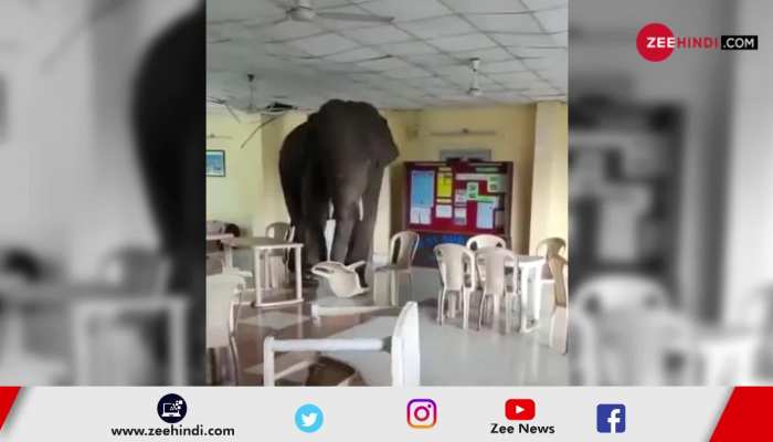 Video: Elephants enter army camp, army jawans control the situations