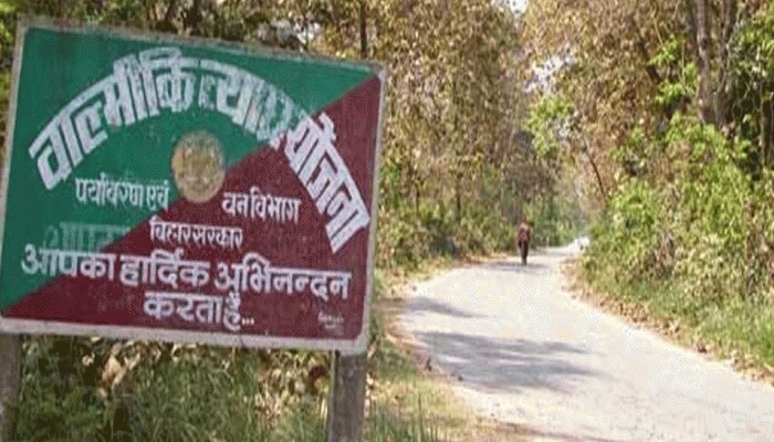 बिहार: वाल्मीकिनगर में बाघों की संख्या बढ़ने से बढ़े पर्यटक, बड़ी संख्या में आए लोग बिहार: वाल्मीकिनगर में बाघों की संख्या बढ़ने से बढ़े पर्यटक, बड़ी संख्या में आए लोग