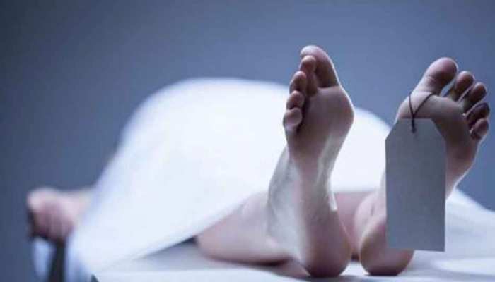 संभल: पैथोलॉजी सेंटर में हुई युवती की हत्या, पुलिस हिरासत में संचालक समेत 4 लोग संभल: पैथोलॉजी सेंटर में हुई युवती की हत्या, पुलिस हिरासत में संचालक समेत 4 लोग
