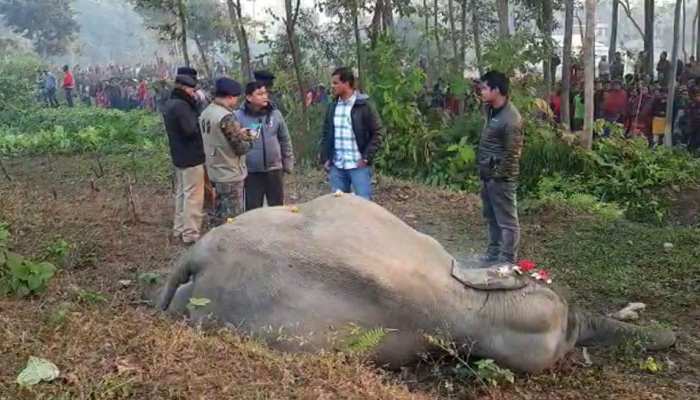 कटिहार एक्सप्रेस से कटकर हथियों की मौत, पेट में पल रहा बच्चा भी मरा कटिहार एक्सप्रेस से कटकर हथियों की मौत, पेट में पल रहा बच्चा भी मरा
