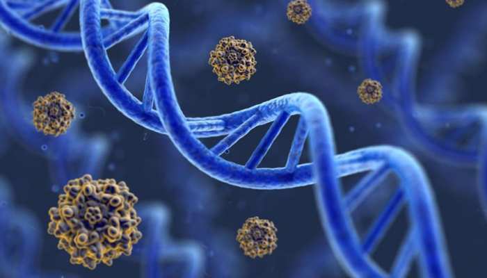 Gene Therapy Now Official In India By Indian Council Of Medical Research भ रत म ज न थ र प पर ग इडल इ स ज र बढ त उम र क र कन सम त कर ग य चमत क र Hindi News द श