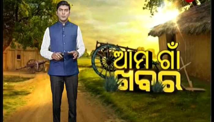Ama Gaon Khabar Bulletin || 14/12/2019