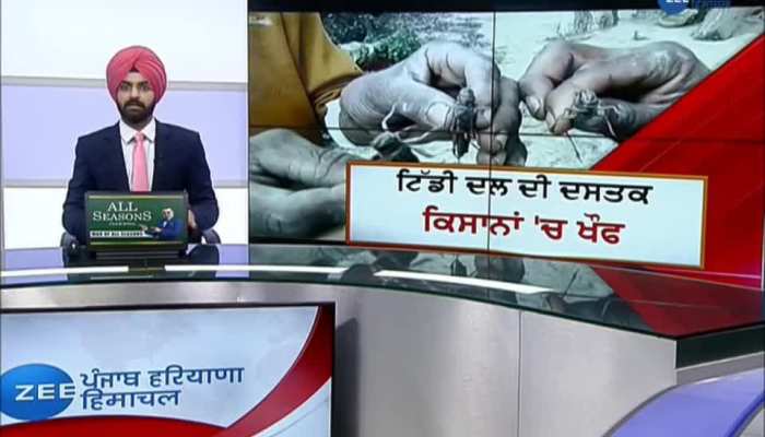 Tiddi Dal Attack in Bathinda