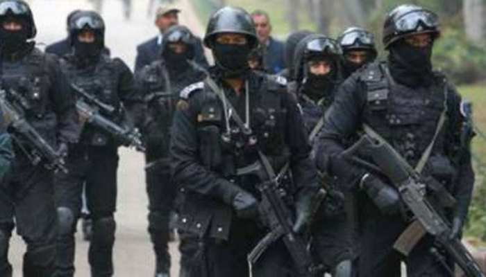 प्रेसिडेंट ट्रंप का भारत दौरा: NSG के एंटी-स्निपर दस्ते, 25 IPS और 10000 जवान संभालेंगे सुरक्षा प्रेसिडेंट ट्रंप का भारत दौरा: NSG के एंटी-स्निपर दस्ते, 25 IPS और 10000 जवान संभालेंगे सुरक्षा