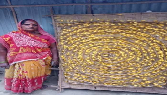 बिहार: 'रेशम की महिलाओं' से पूर्णिया की देश में चर्चा बिहार: 'रेशम की महिलाओं' से पूर्णिया की देश में चर्चा