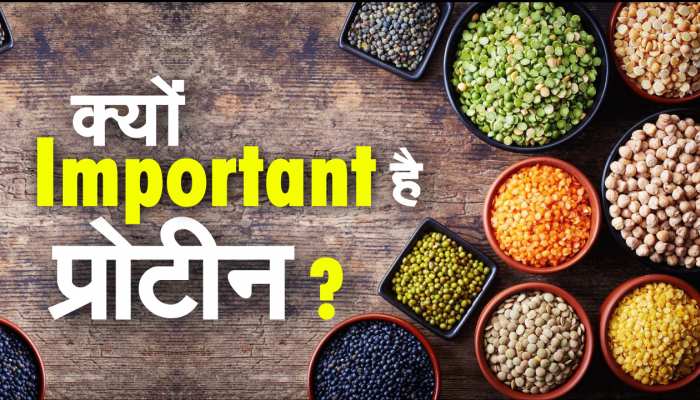 Video : On Protein Day know how much protein is good for health