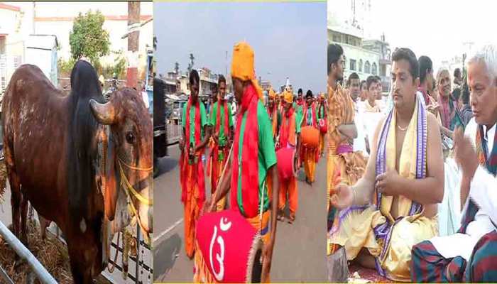 नंदी ने अग्नि को साक्षी मानकर सौरवी के साथ लिए फेरे, जानिए इस अनोखी शादी के बारे में