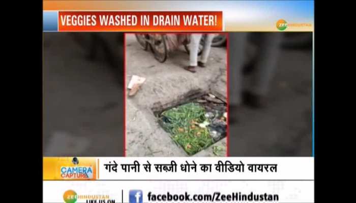 Veggies Washed In Drain Water