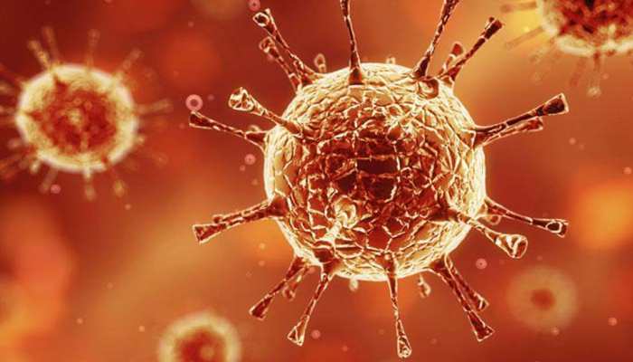 Coronavirus: हल्द्वानी में जापान से लौटे शख्स के ब्लड सैंपल जांच के लिए भेजे गए Coronavirus: हल्द्वानी में जापान से लौटे शख्स के ब्लड सैंपल जांच के लिए भेजे गए
