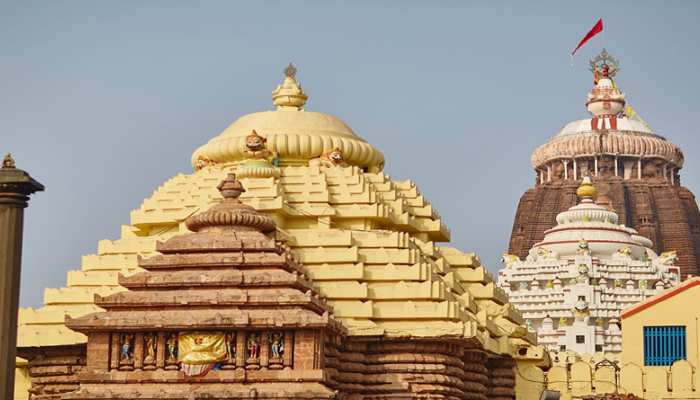 ଆଜି ମହାପ୍ରଭୁଙ୍କ ରାଜ ରାଜେଶ୍ୱର ବେଶ ଆଜି ମହାପ୍ରଭୁଙ୍କ ରାଜ ରାଜେଶ୍ୱର ବେଶ