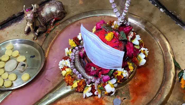 Corona की दहशत: काशी में भगवान शिव को पहनाया गया मास्क, स्पर्श न करने की अपील Corona की दहशत: काशी में भगवान शिव को पहनाया गया मास्क, स्पर्श न करने की अपील