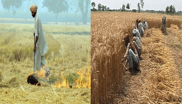 ਕਿੱਥੇ ਪਰਾਲੀ ਨਾ ਸਾੜਨ ਵਾਲੇ ਕਿਸਾਨਾਂ ਨੂੰ ਹੋਇਆ ਵੱਡਾ ਫ਼ਾਇਦਾ,ਜਾਣੋ ਕਿੱਥੇ ਪਰਾਲੀ ਨਾ ਸਾੜਨ ਵਾਲੇ ਕਿਸਾਨਾਂ ਨੂੰ ਹੋਇਆ ਵੱਡਾ ਫ਼ਾਇਦਾ,ਜਾਣੋ