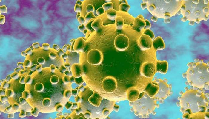 Corona के कहर के बीच दुनिया में जारी है क्रिकेट, दूसरे खेलों में भी हो रहे हैं इवेंट