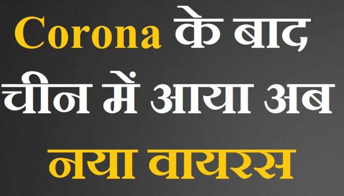 कोरोना के बाद चीन में अब हंता वायरस की एंट्री, एक शख्स की हुई मौत कोरोना के बाद चीन में अब हंता वायरस की एंट्री, एक शख्स की हुई मौत