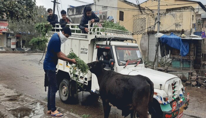 COVID-19: किसी को भूखा नहीं रहने दे रही कोटा की यह संस्था, जानवरों का भी भर रही पेट COVID-19: किसी को भूखा नहीं रहने दे रही कोटा की यह संस्था, जानवरों का भी भर रही पेट
