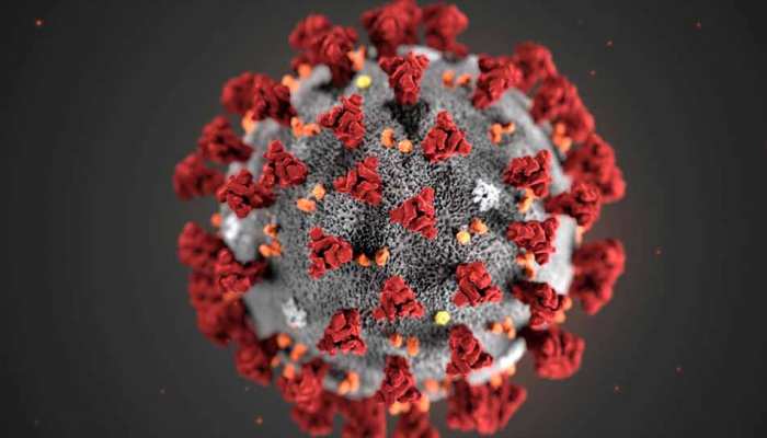 Coronavirus: छत्तीसगढ़ से राहत की खबर, 24 घंटे में एक भी पॉजिटिव केस नहीं Coronavirus: छत्तीसगढ़ से राहत की खबर, 24 घंटे में एक भी पॉजिटिव केस नहीं