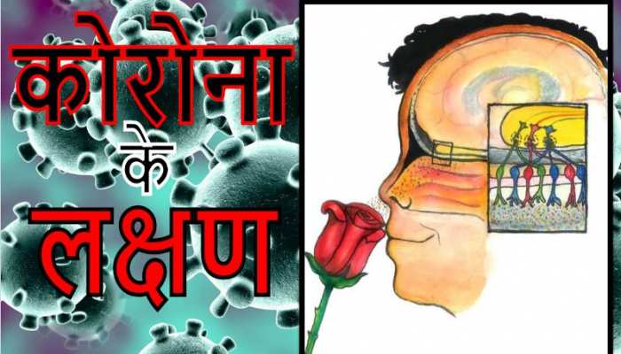 सूंघने की शक्ति खत्म होना कोरोना का शुरुआती लक्षण! सूंघने की शक्ति खत्म होना कोरोना का शुरुआती लक्षण!