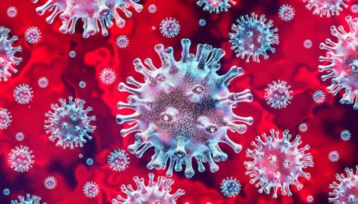 Coronavirus बना कलाकारों का दुश्मन, अब इस मशहूर कॉमेडियन की हुई मौत Coronavirus बना कलाकारों का दुश्मन, अब इस मशहूर कॉमेडियन की हुई मौत