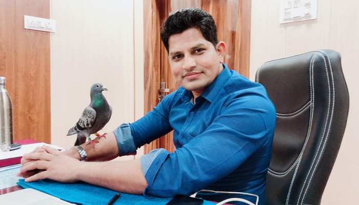 बीकानेर: एक कबूतर की मेहमान नवाजी में तैनात है पुलिस, जानिए वजह बीकानेर: एक कबूतर की मेहमान नवाजी में तैनात है पुलिस, जानिए वजह