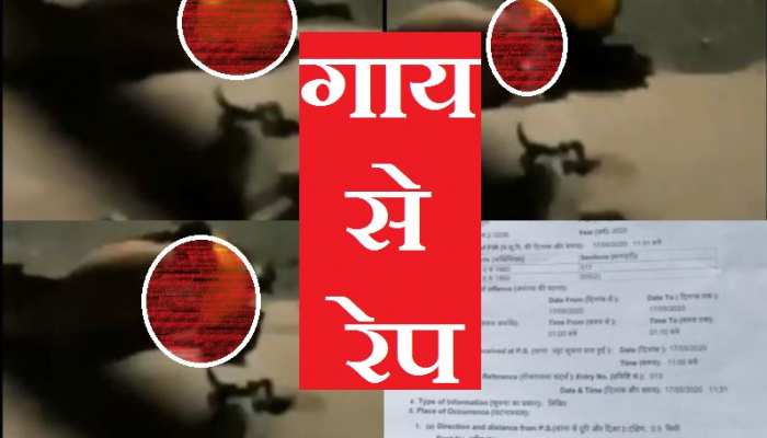 रमजान में गाय से रेप करता पकड़ा गया कालू खान, दूषित मानसिकता के कई उदाहरण रमजान में गाय से रेप करता पकड़ा गया कालू खान, दूषित मानसिकता के कई उदाहरण