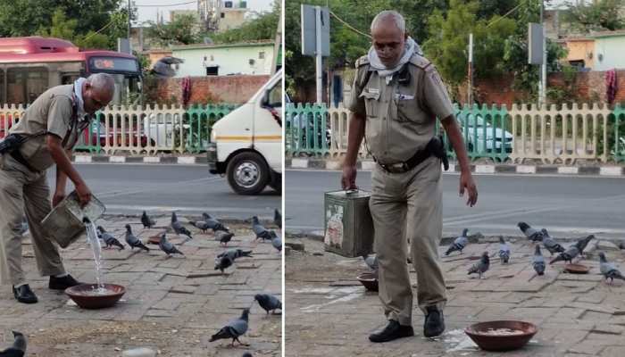 दिल्ली पुलिस के 'रतन' पर है दिल्ली को नाज, ड्यूटी के साथ पेश कर रहे मानवता की मिसाल दिल्ली पुलिस के 'रतन' पर है दिल्ली को नाज, ड्यूटी के साथ पेश कर रहे मानवता की मिसाल