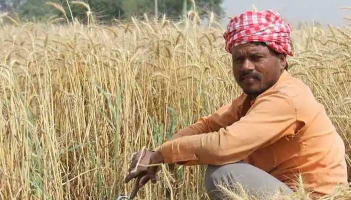 कोटा: लॉकडाउन में मिली छूट से किसानों का राहत, जेब में आए 1 हजार करोड़ कोटा: लॉकडाउन में मिली छूट से किसानों का राहत, जेब में आए 1 हजार करोड़