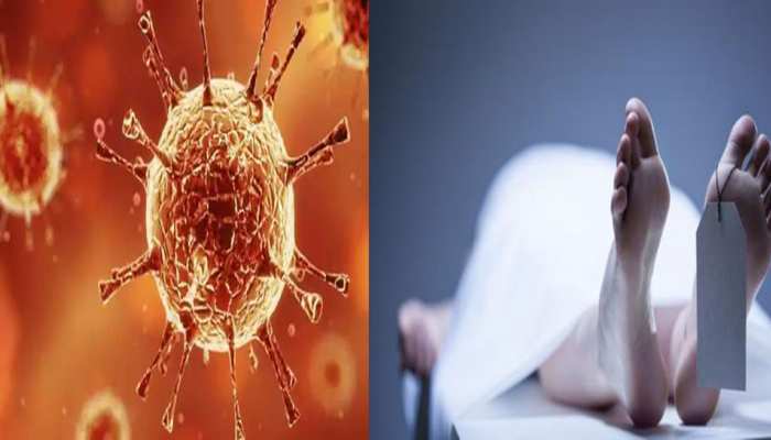 छत्तीसगढ़ में कोरोना से 2 और मौतें, AIIMS में इलाज के दौरान तोड़ा दम छत्तीसगढ़ में कोरोना से 2 और मौतें, AIIMS में इलाज के दौरान तोड़ा दम