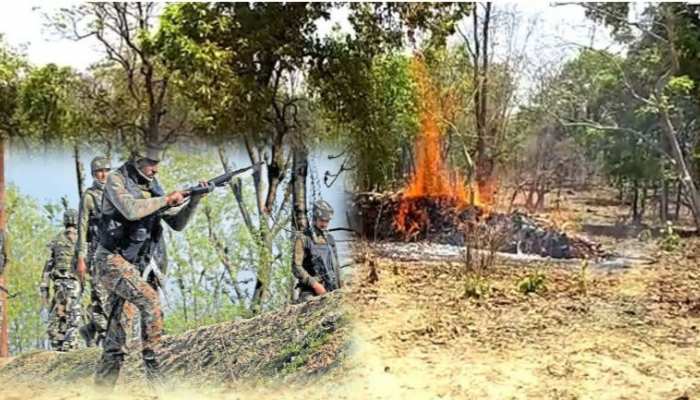 गढ़चिरौली में नक्सलियों ने जला दिया फॉरेस्ट ऑफिस, वन रेंजरों के साथ मारपीट