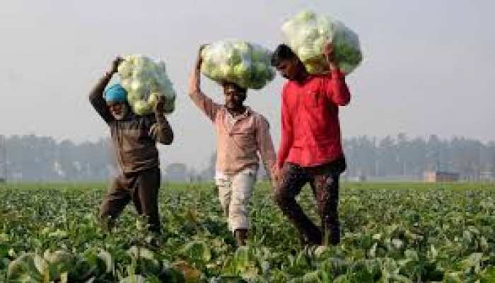 मुरादाबाद: कोरोना काल में किसानों ने निकाली ये तरकीब, आसानी से बिकती हैं सब्जियां मुरादाबाद: कोरोना काल में किसानों ने निकाली ये तरकीब, आसानी से बिकती हैं सब्जियां