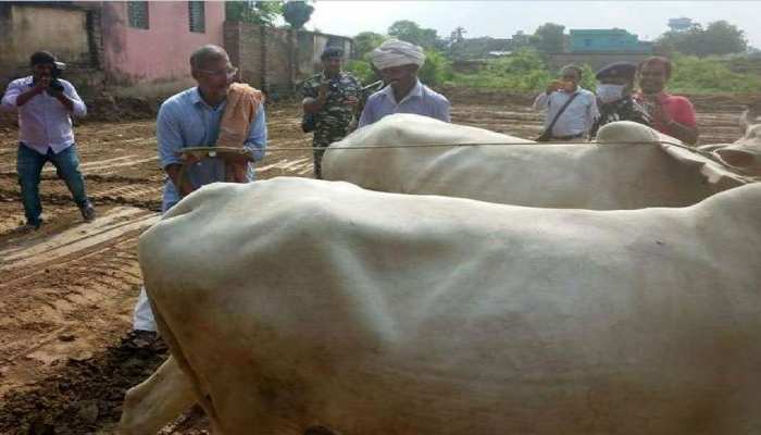फिल्म अभिनेता नाना पाटेकर पहुंचे मोकामा, हल चलाया, किसानों का पूछा कुशलक्षेम फिल्म अभिनेता नाना पाटेकर पहुंचे मोकामा, हल चलाया, किसानों का पूछा कुशलक्षेम