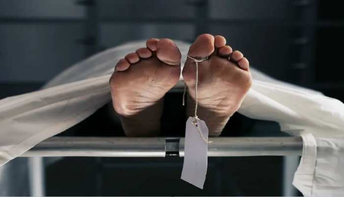 NH पर ऑटो-कैश वाहन में जबरदस्त टक्कर, एक ही परिवार के चार चरागों की हुई मौत NH पर ऑटो-कैश वाहन में जबरदस्त टक्कर, एक ही परिवार के चार चरागों की हुई मौत