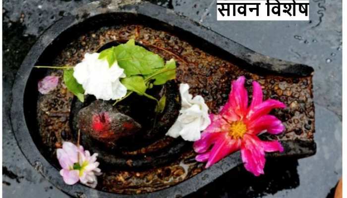 जानिए, क्यों महादेव को प्रिय हैं भांग, धतूरा, आक, बेल और दूध