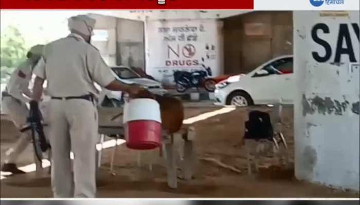 Monkey teased police constables, video goes viral