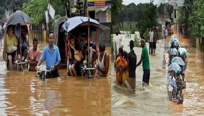 Big Flood In Assam 96 Animals Died In Kaniranga National Park असम म भय नक ब ढ क ज र ग न शनल प र क म 96 ज नवर क म त Hindi News खबर हट क