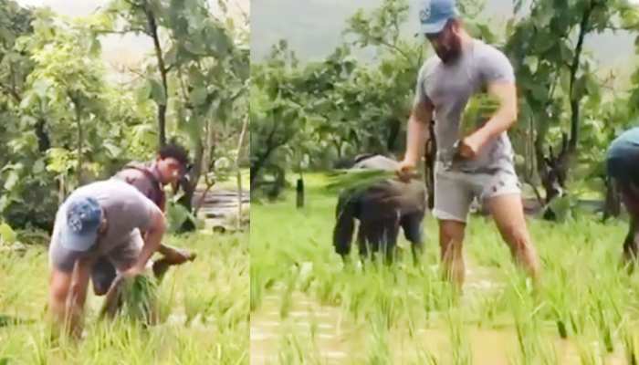 Salman Khan इस बार नहीं मानने वाले! ट्रोलर्स को दे रहे हैं लगातार करारा जवाब