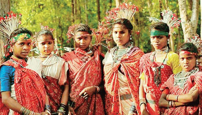 Know Unheard Facts About Tribes On World Tribal Day In Rajasthan 9 अगस त क मन य ज एग व श व आद व स द वस नह ज नत ह ग उनक ब र म य ब त Hindi News र जस थ न