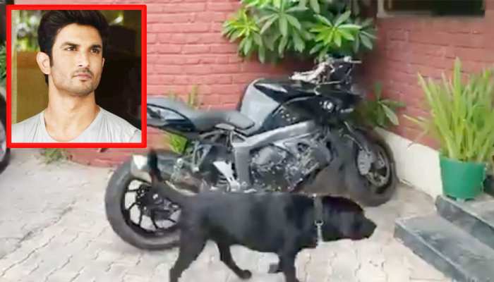 VIRAL VIDEO: सुशांत के इंतजार में बाइक का चक्कर लगाता डॉगी फज