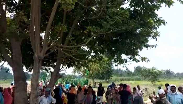 बहराइच में एक पेड़ से बरस रहा पानी, लोग मान रहे दैवीय चमत्कार, वन विभाग ने बताई वजह