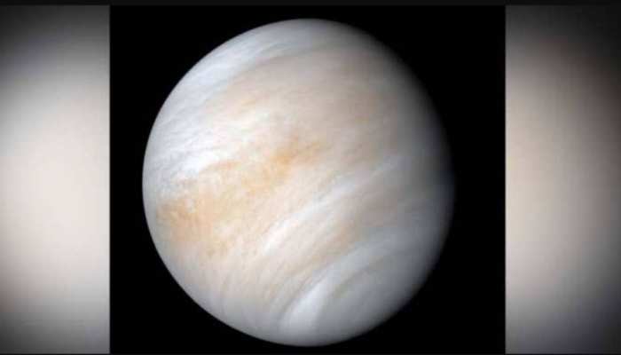 New Study Reveals Maybe Life Is Possible On Venus ज स ग रह क ब इब ल म कह गय नर क वह म ल ज वन क स क त Hindi News व ज ञ न