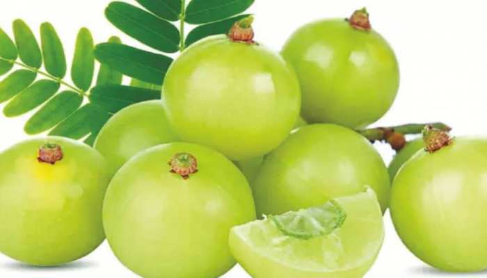 health benefits of amla | रोजाना एक आंवला आपको दिलाएगा बड़ी बीमारियों से मुक्ति, बस इस तरह करें सेवन | Hindi News, सेहत