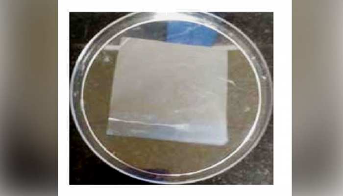 Iit Madras Researchers Develop File Patent For Anti Bacterial Biodegradable Food Wrapper Iit मद र स न ख न क प क ग क ल ए बन य अन ख प र डक ट स हत क स थ पर य वरण क भ ध य न