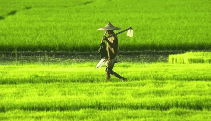 हरियाणा में अब फल-फूल और सब्जी का भी होगा बीमा, ऐसा करने वाला बना पहला राज्‍य