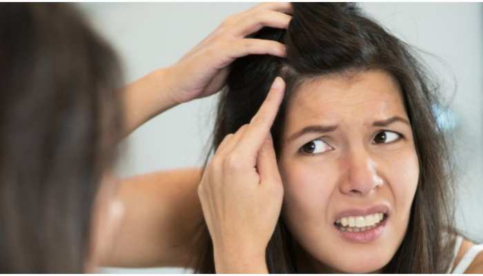 Hair Care: समय से पहले सफेद होते बालों के लिए रामबाण हैं ये आयुर्वेदिक उपाय Hair Care: समय से पहले सफेद होते बालों के लिए रामबाण हैं ये आयुर्वेदिक उपाय