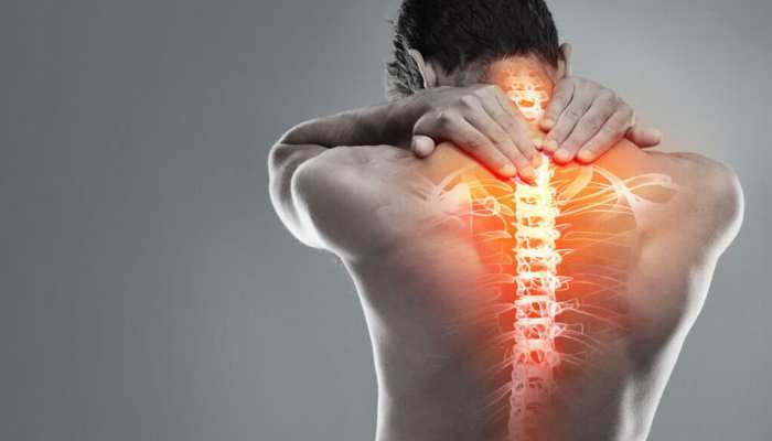 Tips To Relief From Back Pain प ठ कमर दर द स र हत च हत ह त इन ब त क रख ध य न Hindi News स हत Tips To Relief From Back Pain प ठ कमर दर द स र हत च हत ह त इन ब त क रख ध य न Hindi News स हत