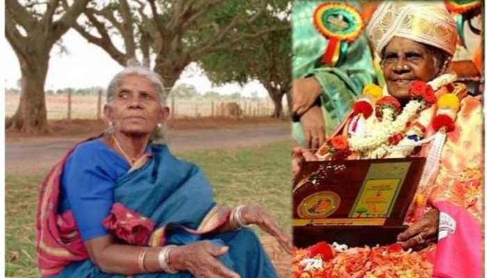 Navratri special: नवरात्र में प्रकृति देवी की अराधना