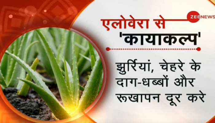 Aloe vera juice benefits on sale and side effects in hindi